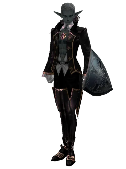 Kite Shield on a male Dark Elf, front view