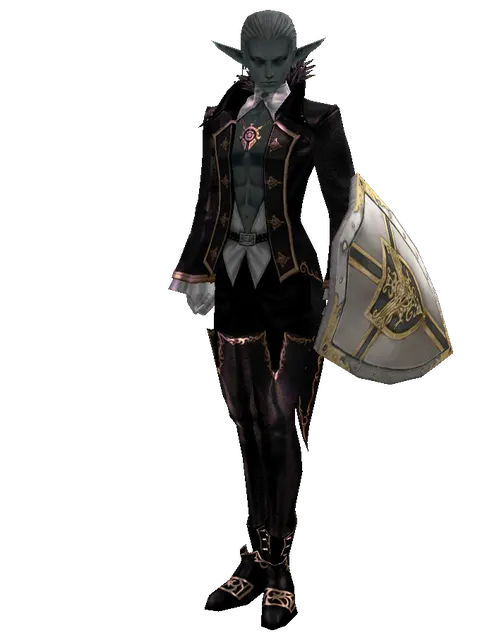 Knight's Shield on a male Dark Elf, front view