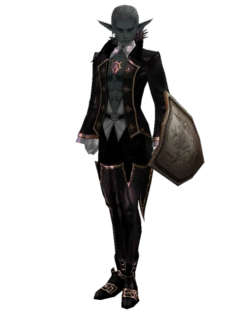 Plate Shield on a male Dark Elf, front view