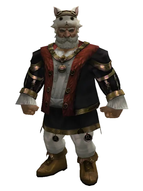 Cat the Cat Hat (?) on a male Dwarf, front view