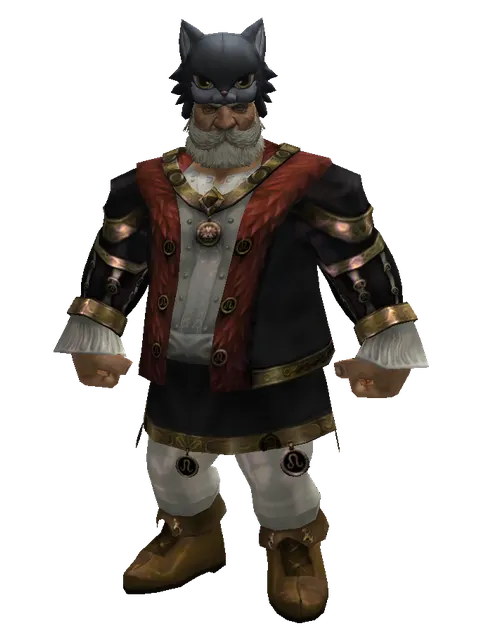 Kai the Cat Hat on a male Dwarf, front view
