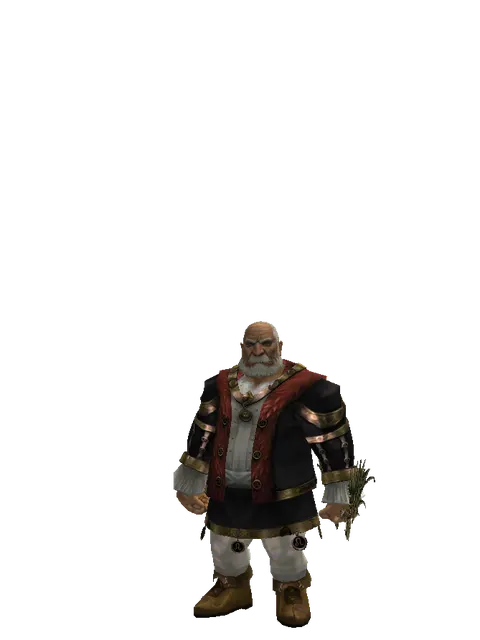 Noble Elven Bow on a male Dwarf, front view