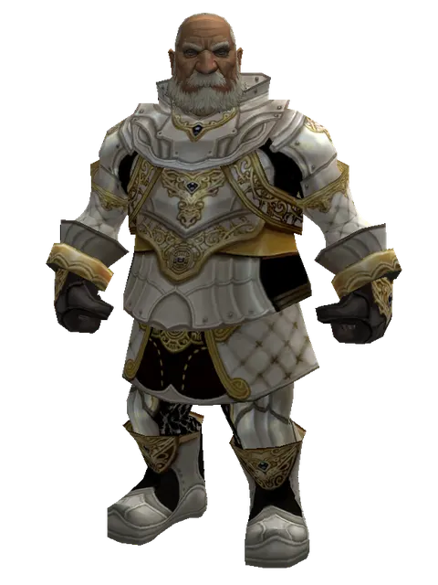 Majestic Leather Set on a male Dwarf, front view
