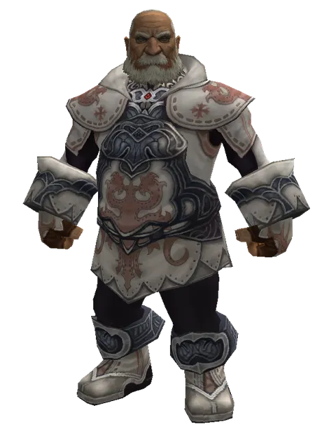 Avadon Robe Set on a male Dwarf, front view