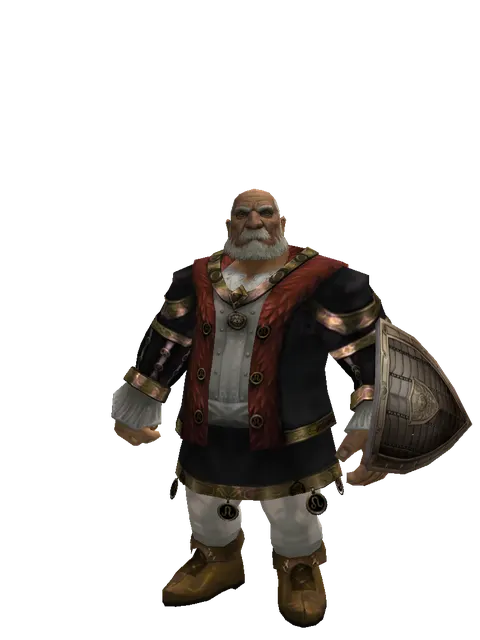 Chain Shield on a male Dwarf, front view