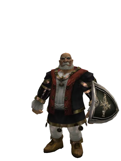 Dark Crystal Shield on a male Dwarf, front view