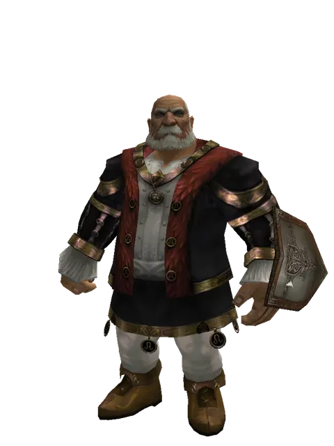 Dwarven Chain Shield on a male Dwarf, front view