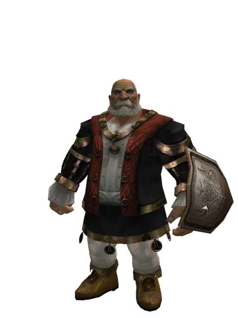 Plate Shield on a male Dwarf, front view