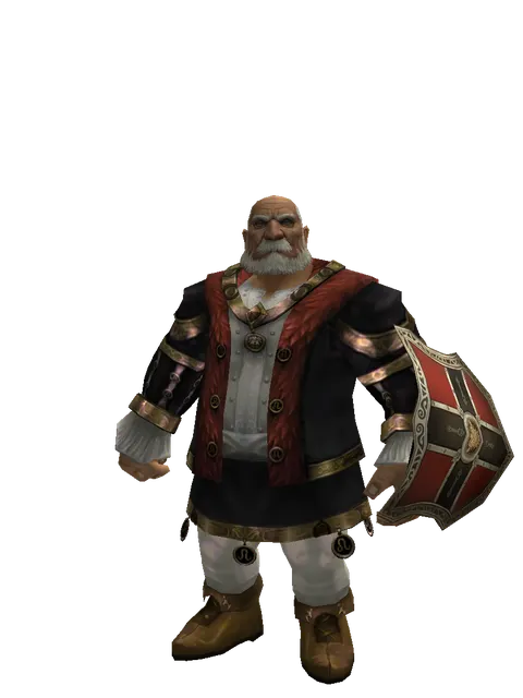 Zubei Shield on a male Dwarf, front view