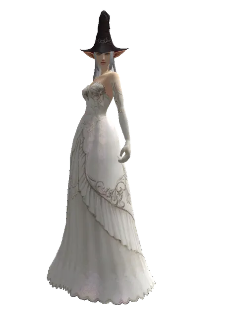 Wizard Hat on a female Elf, front view