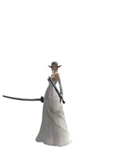Katana*Caliburs on a female Elf, front view