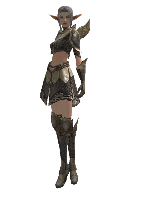 Chain Mail Set on a female Elf, front view