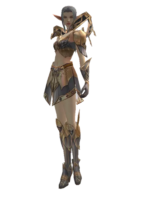 Imperial Crusader Set on a female Elf, front view