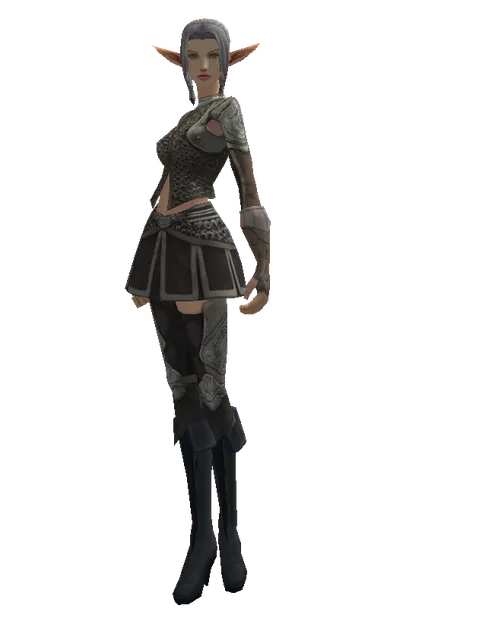 Ring Mail (heavy armor) on a female Elf, front view