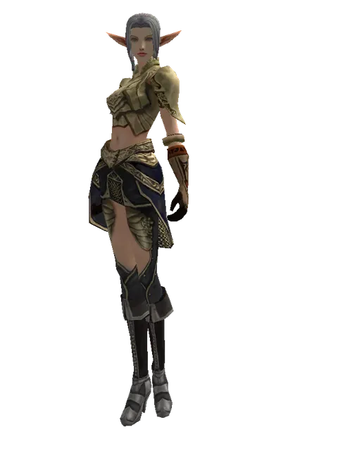Ubiquitous (heavy armor) on a female Elf, front view