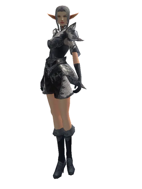 Avadon Leather Set on a female Elf, front view