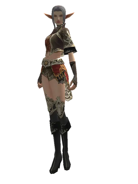 Zubei's Leather Set on a female Elf, front view
