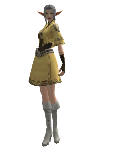 Mithril Set - Robe on a female Elf, front view