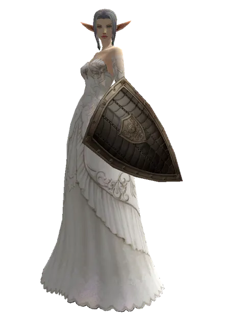 Chain Shield on a female Elf, front view