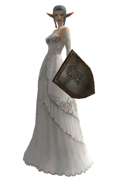 Dwarven Chain Shield on a female Elf, front view