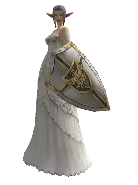 Knight's Shield on a female Elf, front view