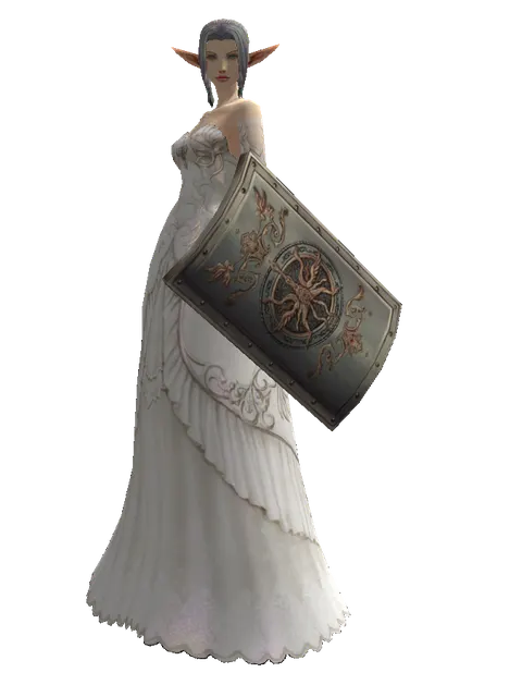 Tower Shield on a female Elf, front view