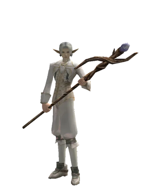 Staff of Magic on a male Elf, front view
