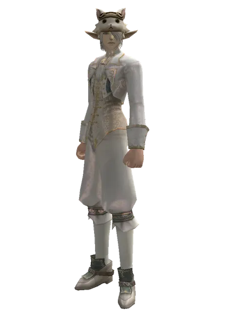 Cat the Cat Hat (?) on a male Elf, front view