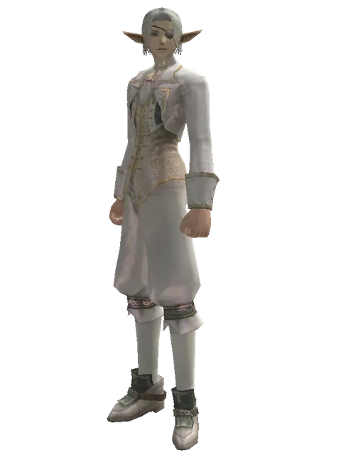 Eye Patch on a male Elf, front view