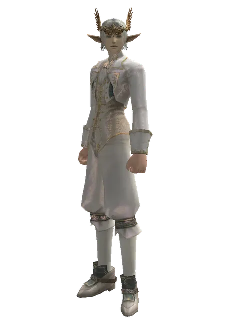 Wings of Destiny Circlet on a male Elf, front view