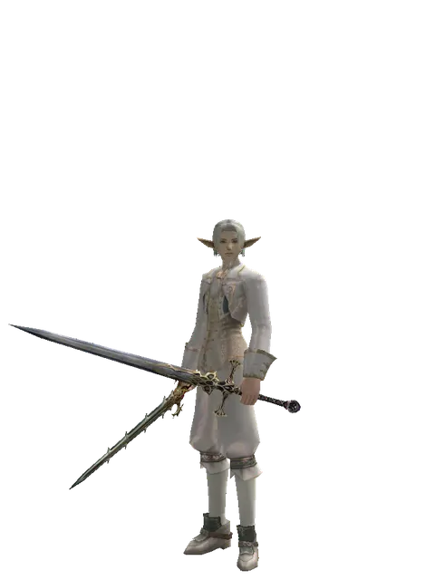 Icarus Dual Sword on a male Elf, front view
