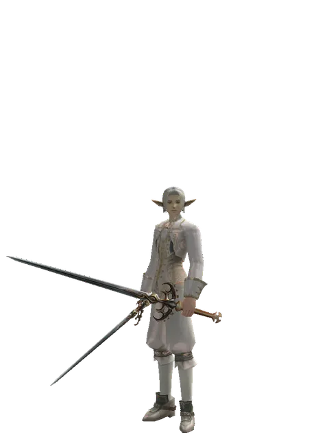 Raid Sword*Raid Sword on a male Elf, front view