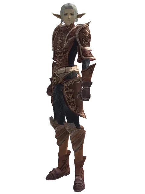 Brigandine Set on a male Elf, front view