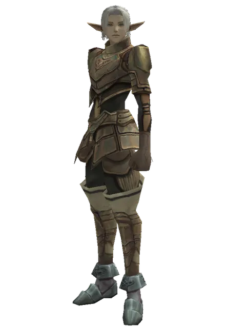Bronze (heavy armor) on a male Elf, front view