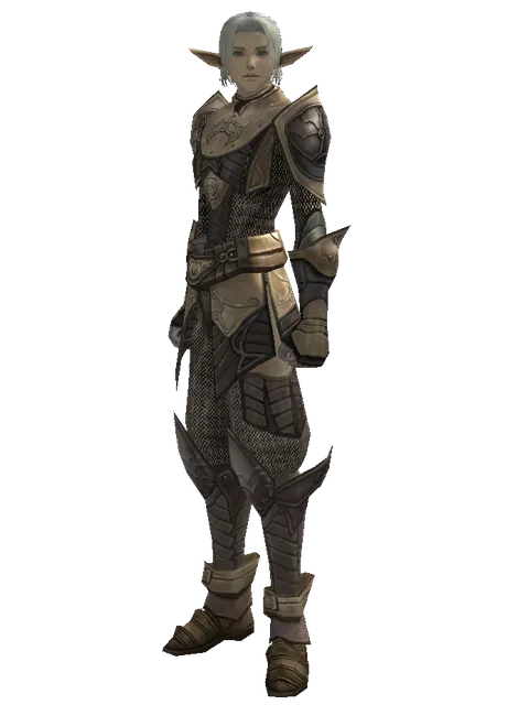 Chain Mail Set on a male Elf, front view