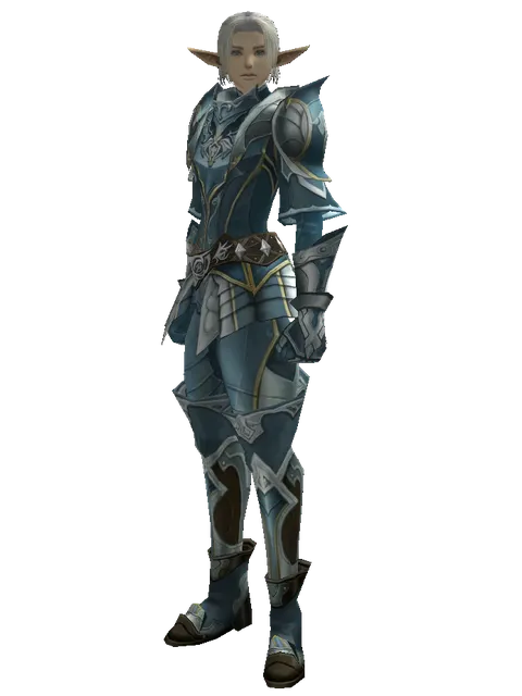 Clan Oath Set - Heavy on a male Elf, front view