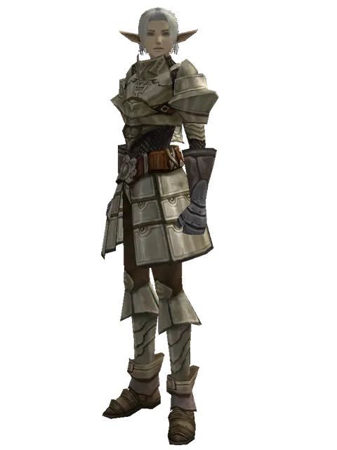 Dream (heavy armor) on a male Elf, front view