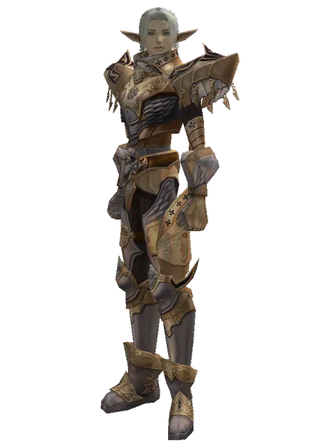 Imperial Crusader Set on a male Elf, front view