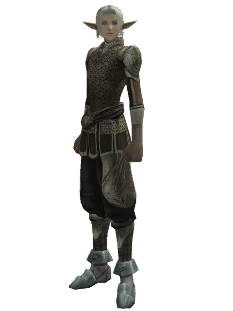 Ring Mail (heavy armor) on a male Elf, front view