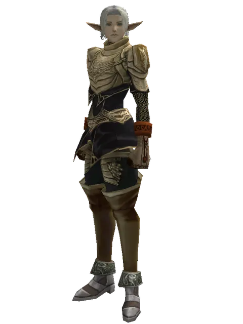 Ubiquitous (heavy armor) on a male Elf, front view