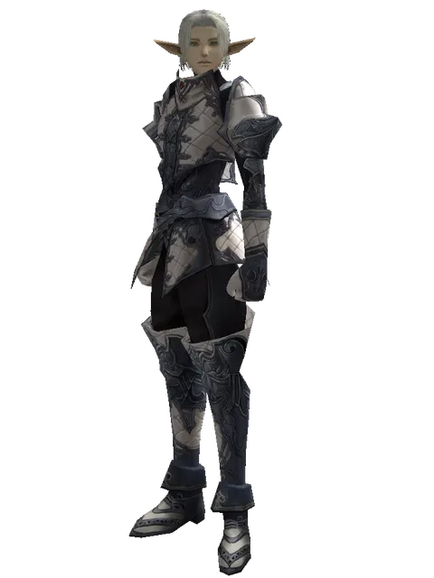 Avadon Leather Set on a male Elf, front view