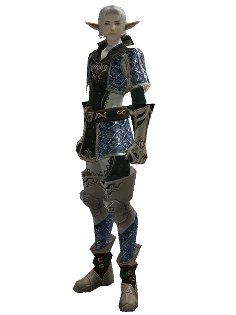 Drake Leather Set on a male Elf, front view