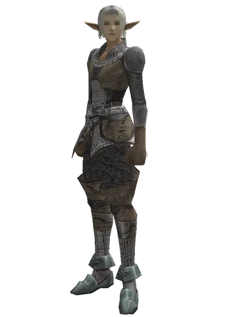 Lion Skin (light armor) on a male Elf, front view