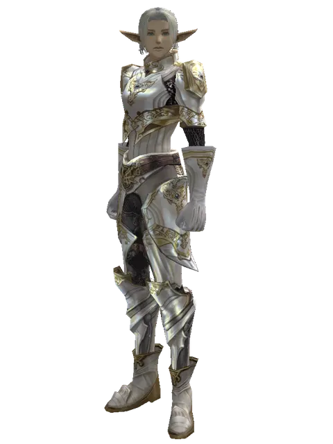 Majestic Leather Set on a male Elf, front view