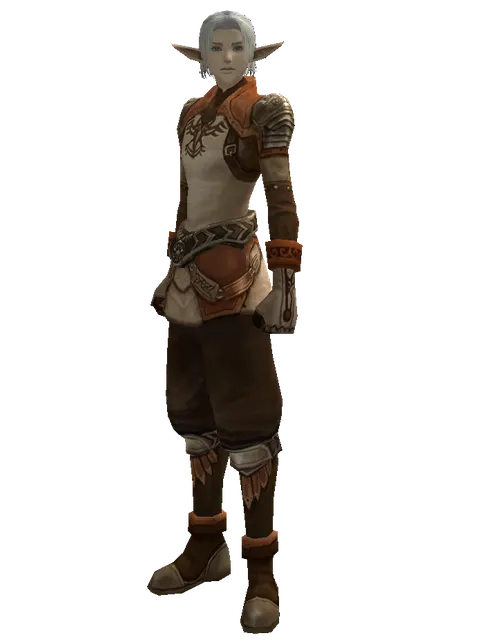 Manticore Skin Set on a male Elf, front view