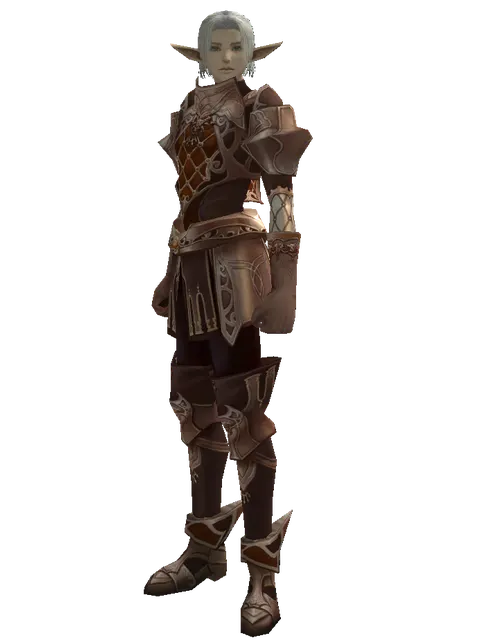 Leather Set of Nightmare on a male Elf, front view