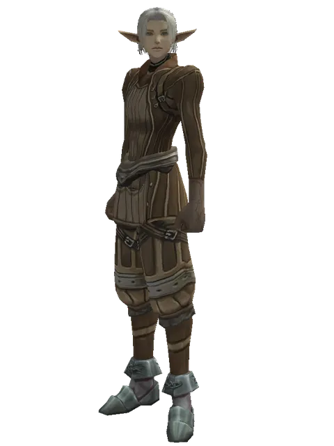 Puma Skin (light armor) on a male Elf, front view