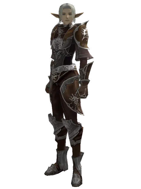 Rind Leather (light armor) on a male Elf, front view