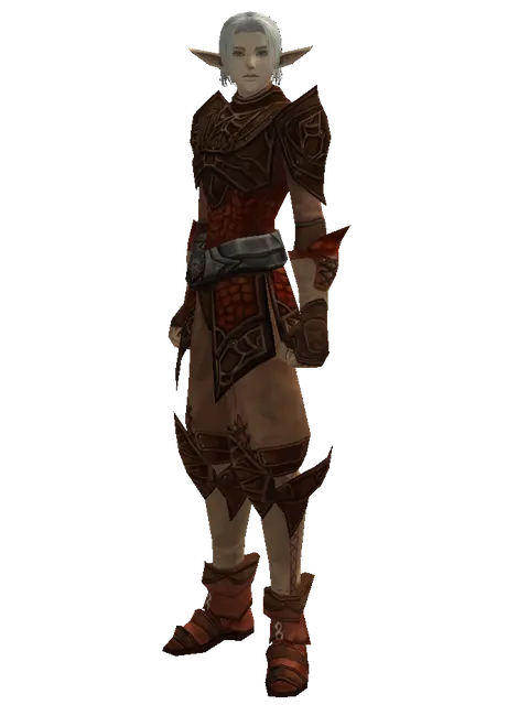 Salamander (light armor) on a male Elf, front view