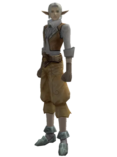 Squire's (light armor) on a male Elf, front view